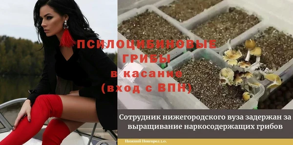 MDMA Инсар