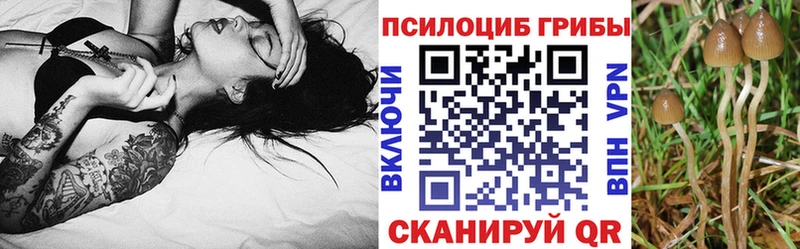 Псилоцибиновые грибы Magic Shrooms  Купить  Горно-Алтайск 